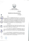 Vista preliminar de documento RDE_224