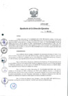 Vista preliminar de documento RDE_247