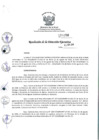 Vista preliminar de documento rde_256