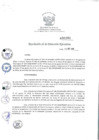 Vista preliminar de documento rde_261
