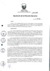 Vista preliminar de documento rde_268