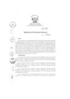 Vista preliminar de documento rde_271