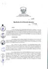 Vista preliminar de documento rde_309