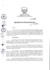 Vista preliminar de documento rde_322