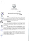 Vista preliminar de documento rde_347