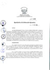Vista preliminar de documento rde_345