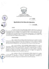 Vista preliminar de documento rde_352