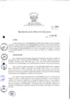 Vista preliminar de documento rde_384