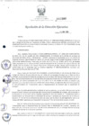 Vista preliminar de documento rde_387