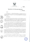 Vista preliminar de documento rde_411