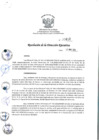 Vista preliminar de documento rde_412