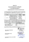 Vista preliminar de documento Anexo N° 20 Adjudicación de la buena pro (31-12-2025)