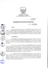Vista preliminar de documento rde_441