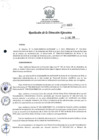 Vista preliminar de documento rde_460