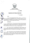 Vista preliminar de documento rde_466