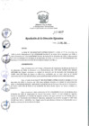 Vista preliminar de documento rde_467