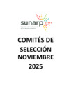 Vista preliminar de documento COMITES DE SELECCION-NOVIEMBRE 2025