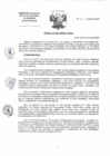 Vista preliminar de documento 7606055-rd-001-2026-dg-incn