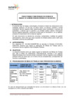 Vista preliminar de documento PAN DE TRABAJO - MUNICIPALIDAD DISTRITAL DE PACHACUTEC