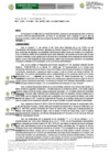 Vista preliminar de documento RES. DIREC. SUB REG. SEC.-000972-2025-RISU