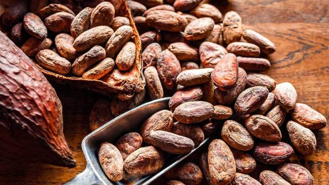 OFICINA DE COMUNICACIONES. IMAGEN Y PROTOCOLO