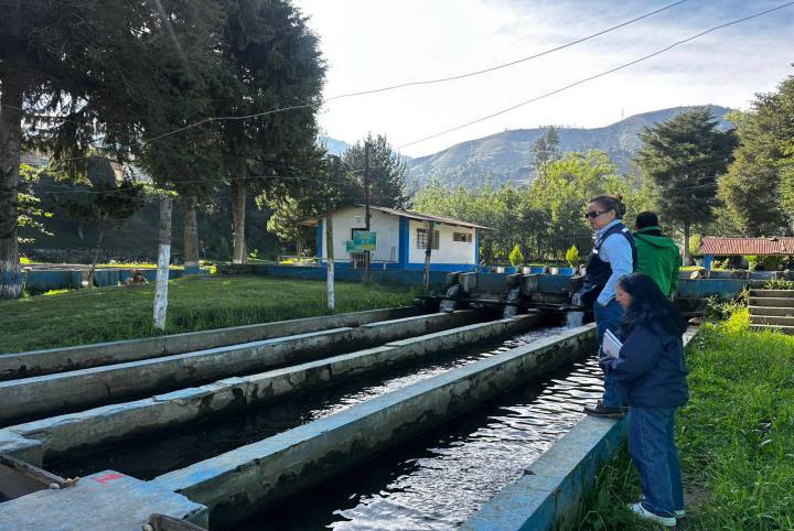 OFICINA DE COMUNICACIONES. IMAGEN Y PROTOCOLO