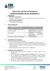 Vista preliminar de documento PSP_06-2026 PRODUCCION