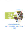 Vista preliminar de documento Plan Operativo Institucional 2026 TMT