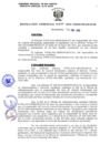 Vista preliminar de documento 010_2010_GRSM_PEAM_01_00