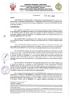 Vista preliminar de documento RDRS N°067