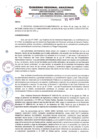Vista preliminar de documento RDRS N°081