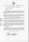 Vista preliminar de documento Directiva N 001-2005-CONSUCODE-PRE