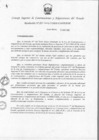 Vista preliminar de documento Directiva N 012-2002-CONSUCODE-PRE