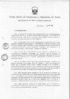Vista preliminar de documento Directiva N 004-2007-CONSUCODE-PRE