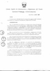 Vista preliminar de documento Directiva N 013-2007-CONSUCODE-PRE