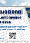 Vista preliminar de documento Sala Situacional Epidemiologica Región Lambayeque  SE 02 ( 11 al 17  Ene 2026)