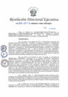 Vista preliminar de documento Resolucion-Directoral-Ejecutiva-No-199-2016