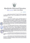 Vista preliminar de documento Resolucion-Directoral-Ejecutiva-No-203-2016
