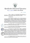Vista preliminar de documento Resolucion-Directoral-Ejecutiva-No-211-2016