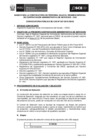 Vista preliminar de documento BASES CAS 087-2019