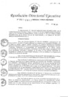 Vista preliminar de documento RDE-001-2017