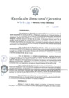 Vista preliminar de documento RDE-N°-005-2017-MINEDU-VMGI-PRONIED