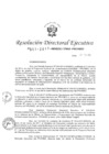 Vista preliminar de documento RDE-033-20176