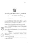 Vista preliminar de documento RDE-N-159-2017-MINEDU-VMGI-PRONIED