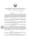 Vista preliminar de documento RDE-N-028-2018-MINEDU-VMGI-PRONIED