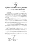 Vista preliminar de documento RDE-N-053-2018-MINEDU-VMGI-PRONIED