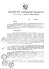 Vista preliminar de documento RDE-N°-060