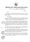 Vista preliminar de documento RDE-N°-061