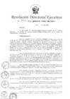 Vista preliminar de documento RDE-N-114-2018-MINEDU-VMGI-PRONIED