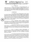 Vista preliminar de documento rgr-038-2025-gore-ica-grds